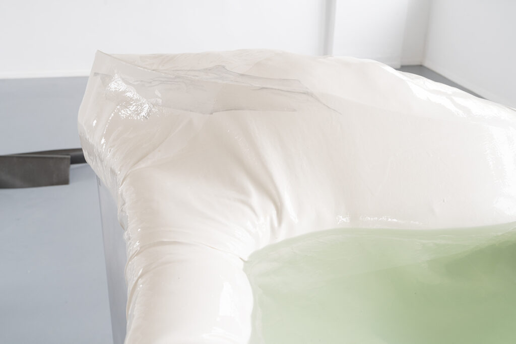 Charlotte Antony Diplomausstellung in der Galerie Paul Scherzer