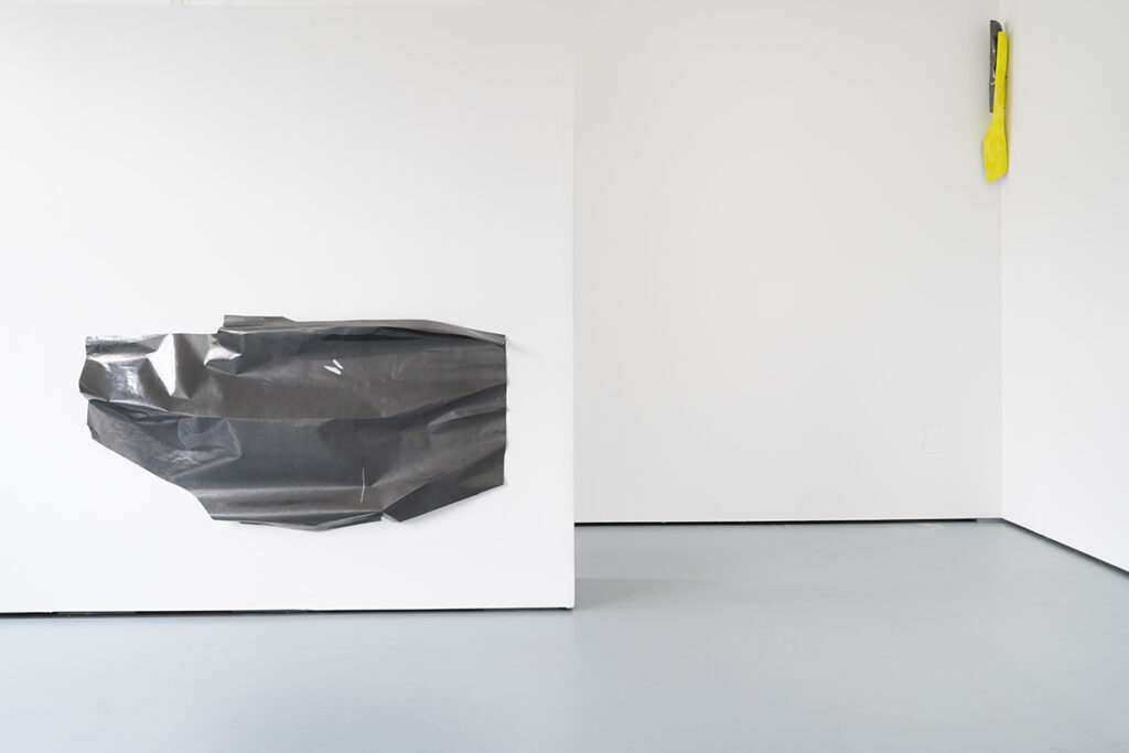 Charlotte Antony Diplomausstellung in der Galerie Paul Scherzer